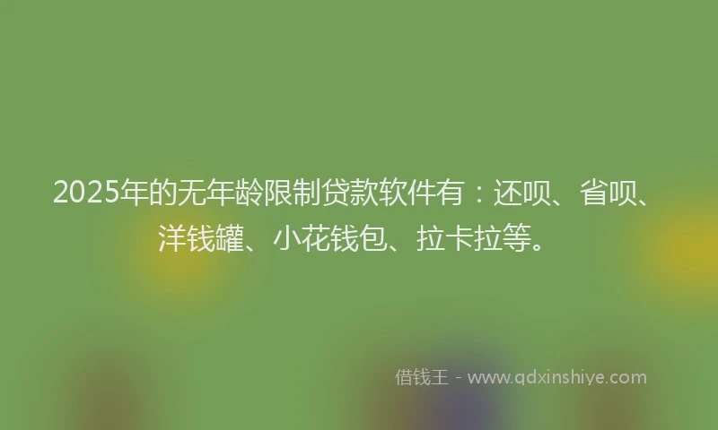 2025年的无年龄限制贷款软件有：还呗、省呗、洋钱罐、小花钱包、拉卡拉等。