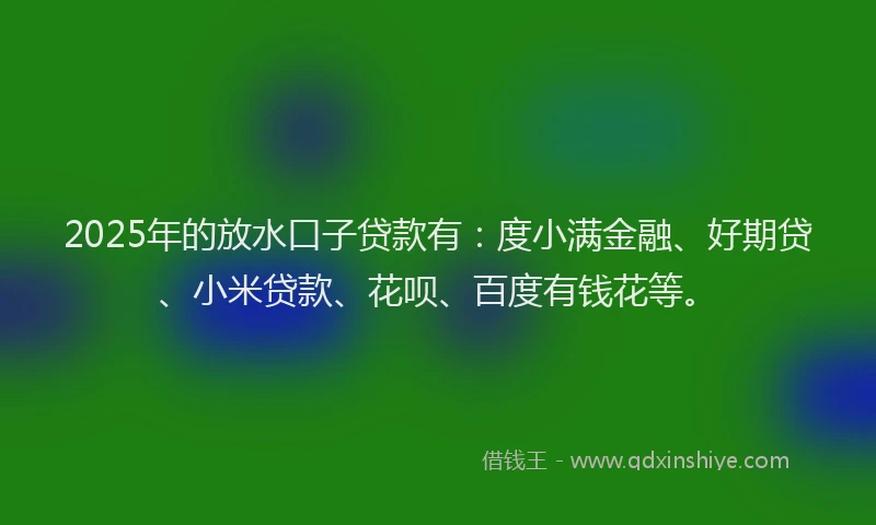 2025年的放水口子贷款有：度小满金融、好期贷、小米贷款、花呗、百度有钱花等。