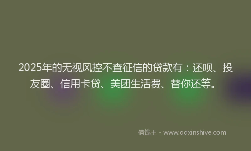 2025年的无视风控不查征信的贷款有：还呗、投友圈、信用卡贷、美团生活费、替你还等。