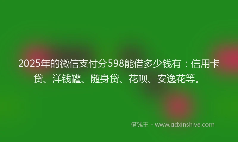 2025年的微信支付分598能借多少钱有：信用卡贷、洋钱罐、随身贷、花呗、安逸花等。
