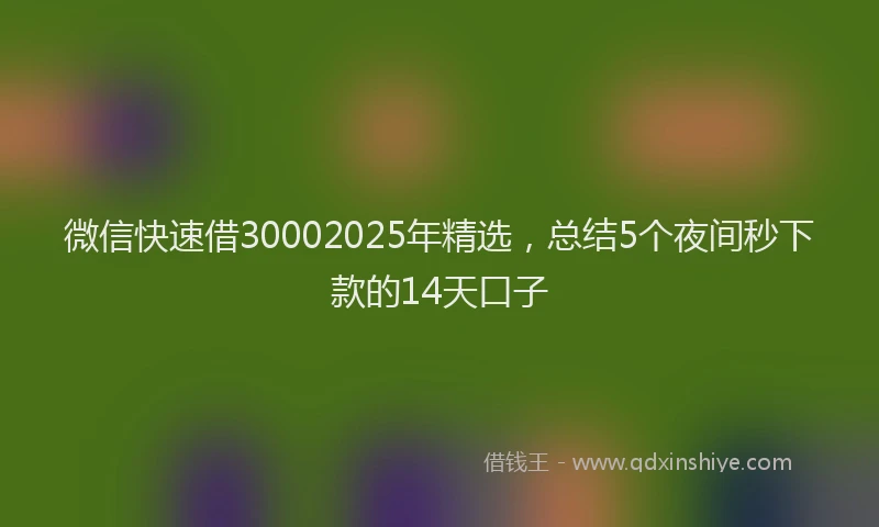 微信快速借30002025年精选，总结5个夜间秒下款的14天口子