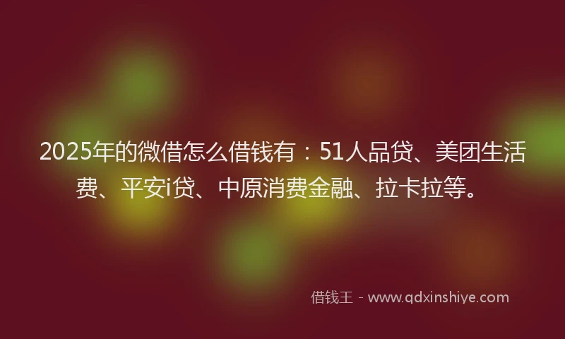 2025年的微借怎么借钱有：51人品贷、美团生活费、平安i贷、中原消费金融、拉卡拉等。