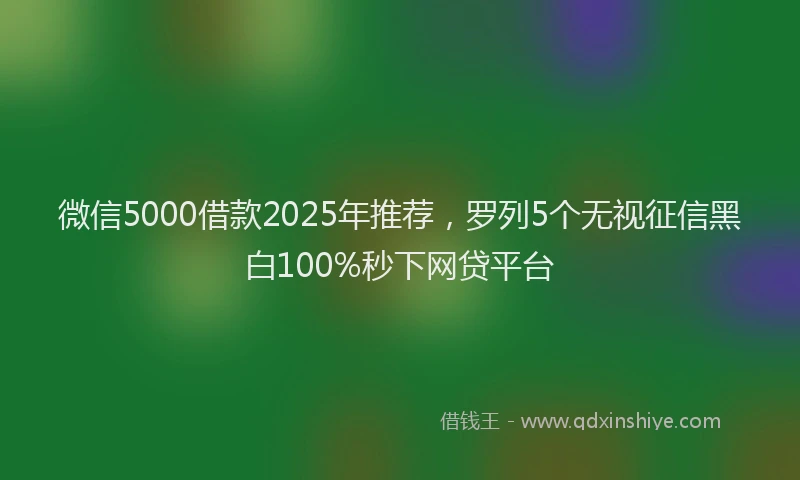 微信5000借款2025年推荐，罗列5个无视征信黑白100%秒下网贷平台