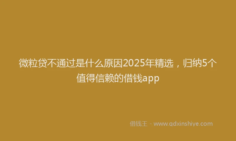 微粒贷不通过是什么原因2025年精选，归纳5个值得信赖的借钱app