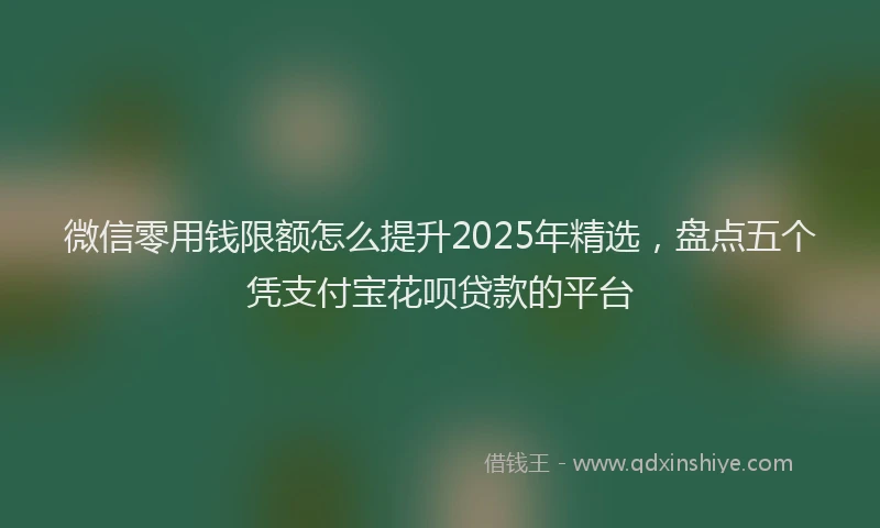 微信零用钱限额怎么提升2025年精选，盘点五个凭支付宝花呗贷款的平台
