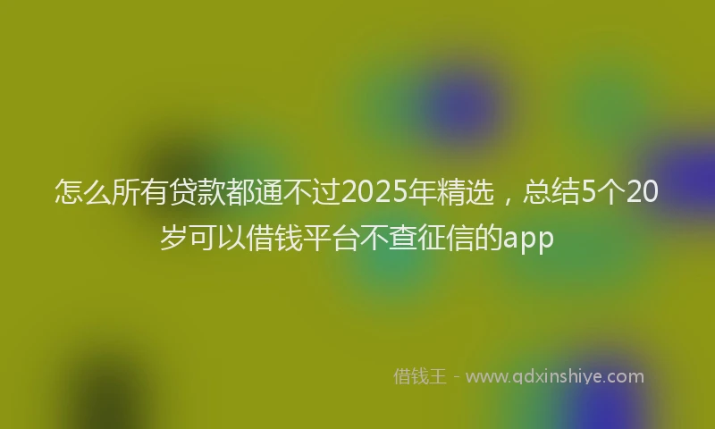 怎么所有贷款都通不过2025年精选，总结5个20岁可以借钱平台不查征信的app