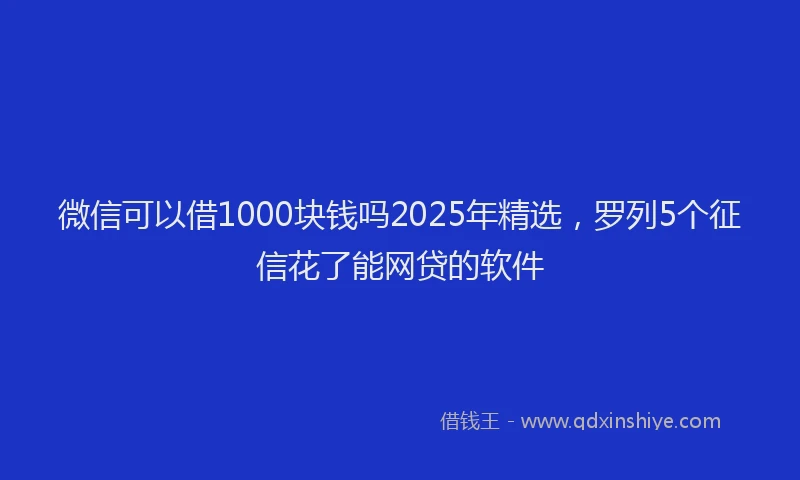微信可以借1000块钱吗2025年精选，罗列5个征信花了能网贷的软件