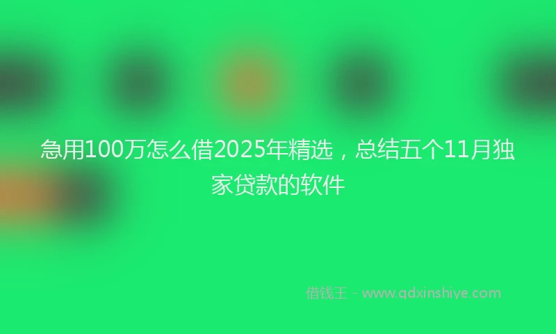 急用100万怎么借2025年精选，总结五个11月独家贷款的软件