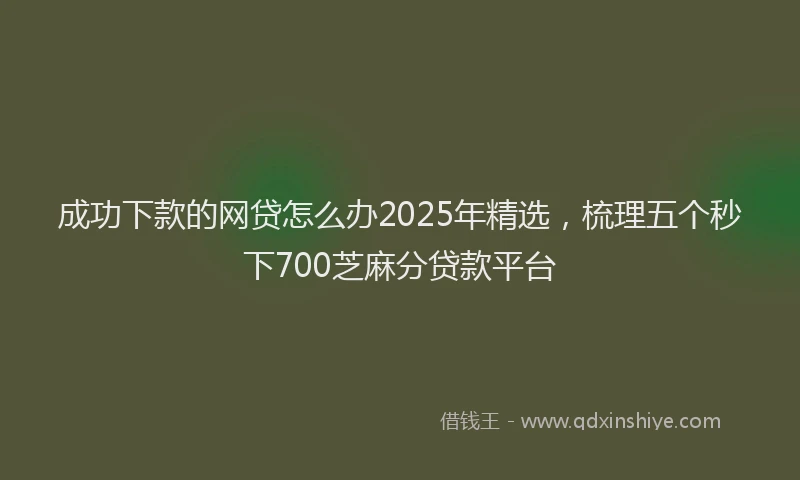 成功下款的网贷怎么办2025年精选，梳理五个秒下700芝麻分贷款平台
