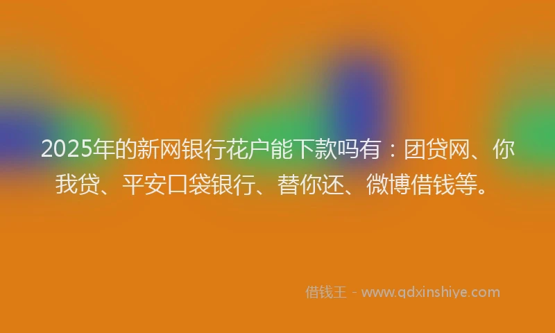 2025年的新网银行花户能下款吗有：团贷网、你我贷、平安口袋银行、替你还、微博借钱等。