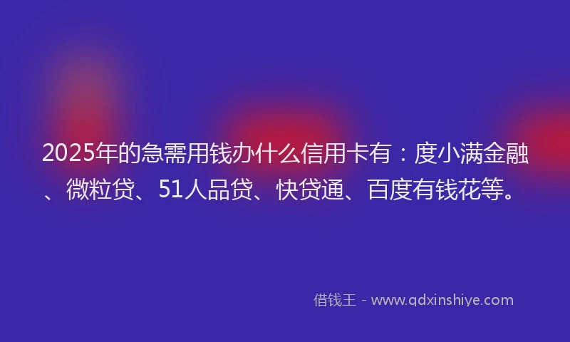 2025年的急需用钱办什么信用卡有：度小满金融、微粒贷、51人品贷、快贷通、百度有钱花等。