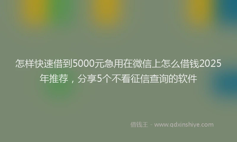 怎样快速借到5000元急用在微信上怎么借钱2025年推荐，分享5个不看征信查询的软件