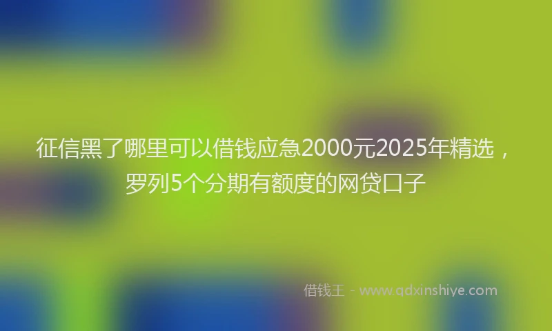 征信黑了哪里可以借钱应急2000元2025年精选，罗列5个分期有额度的网贷口子