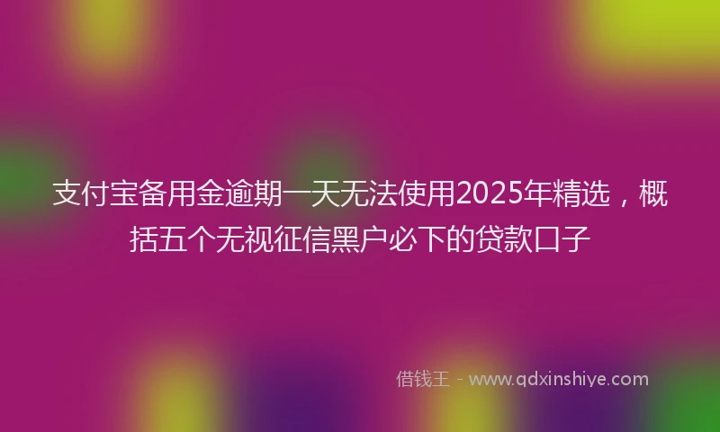 支付宝备用金逾期一天无法使用2025年精选，概括五个无视征信黑户必下的贷款口子