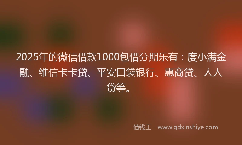 2025年的微信借款1000包借分期乐有：度小满金融、维信卡卡贷、平安口袋银行、惠商贷、人人贷等。