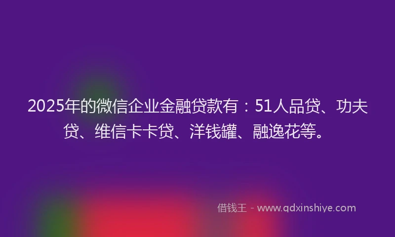 2025年的微信企业金融贷款有：51人品贷、功夫贷、维信卡卡贷、洋钱罐、融逸花等。