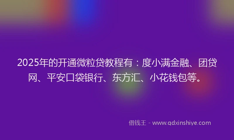 2025年的开通微粒贷教程有：度小满金融、团贷网、平安口袋银行、东方汇、小花钱包等。