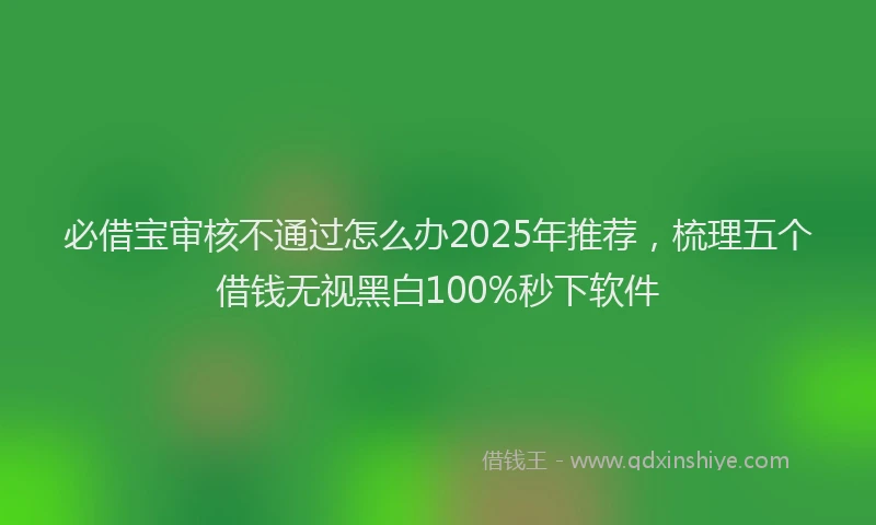 必借宝审核不通过怎么办2025年推荐，梳理五个借钱无视黑白100%秒下软件