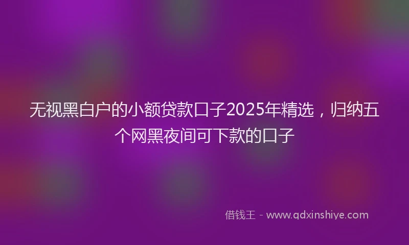 无视黑白户的小额贷款口子2025年精选，归纳五个网黑夜间可下款的口子