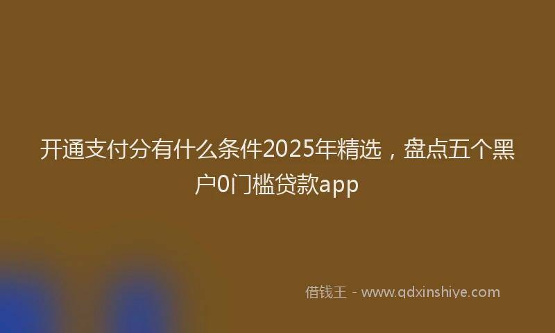 开通支付分有什么条件2025年精选，盘点五个黑户0门槛贷款app