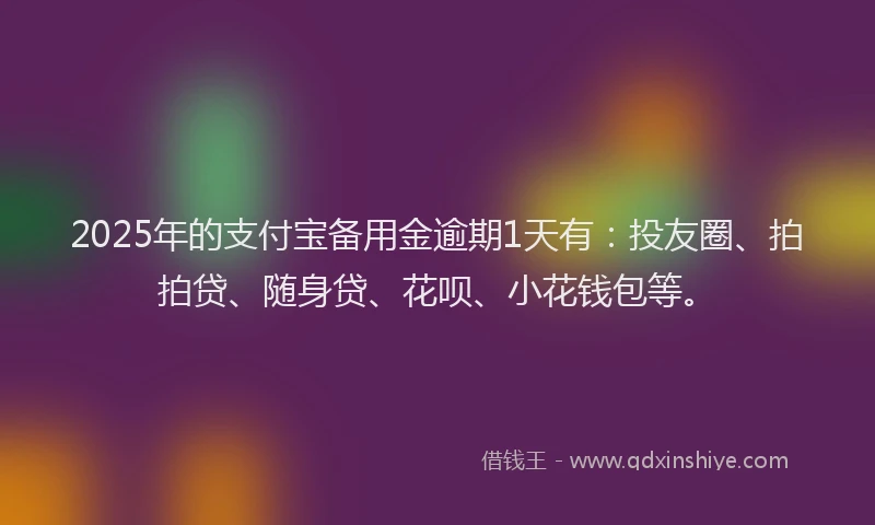 2025年的支付宝备用金逾期1天有：投友圈、拍拍贷、随身贷、花呗、小花钱包等。