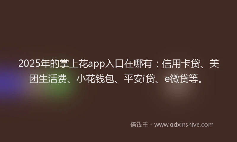 2025年的掌上花app入口在哪有：信用卡贷、美团生活费、小花钱包、平安i贷、e微贷等。