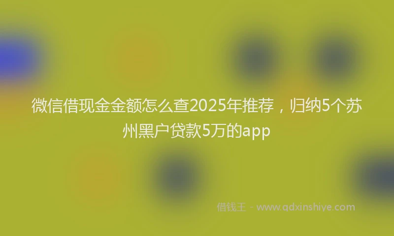 微信借现金金额怎么查2025年推荐，归纳5个苏州黑户贷款5万的app