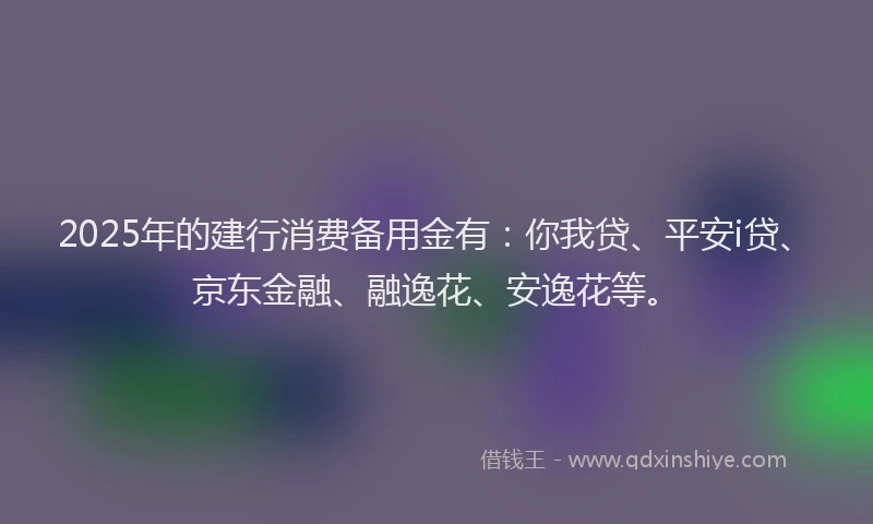 2025年的建行消费备用金有：你我贷、平安i贷、京东金融、融逸花、安逸花等。