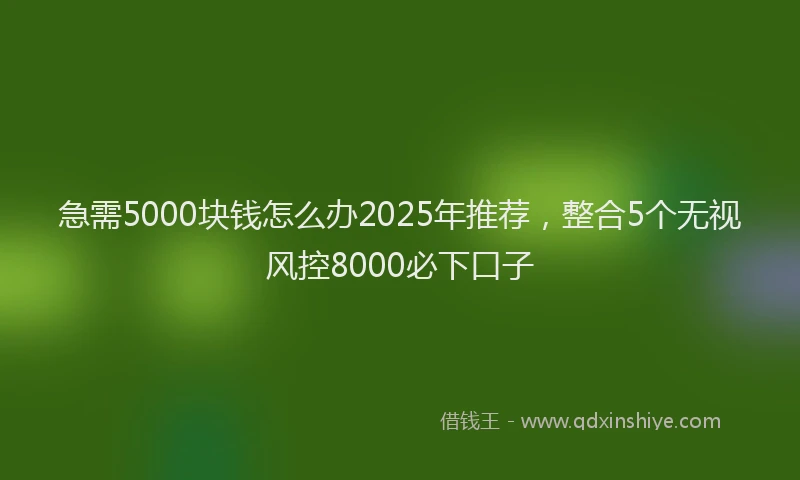 急需5000块钱怎么办2025年推荐，整合5个无视风控8000必下口子
