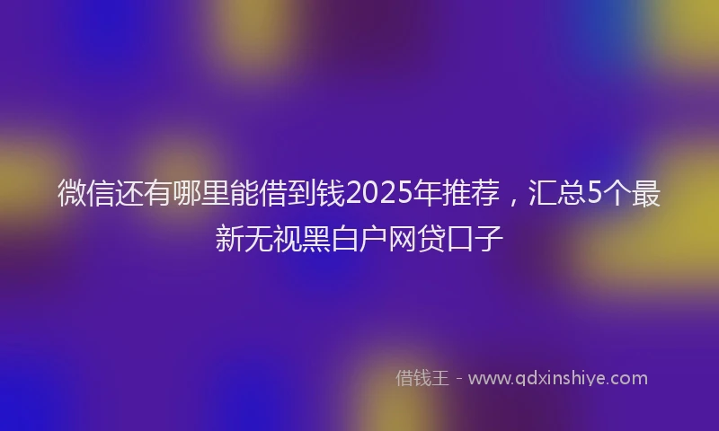 微信还有哪里能借到钱2025年推荐，汇总5个最新无视黑白户网贷口子