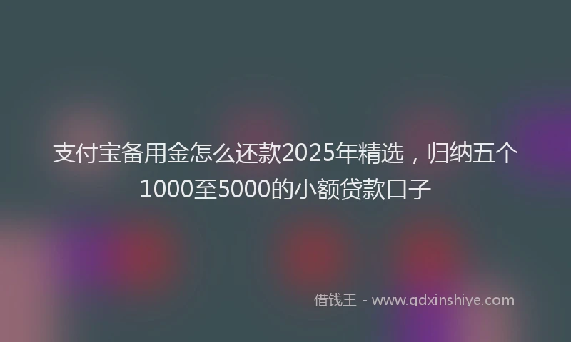 支付宝备用金怎么还款2025年精选，归纳五个1000至5000的小额贷款口子