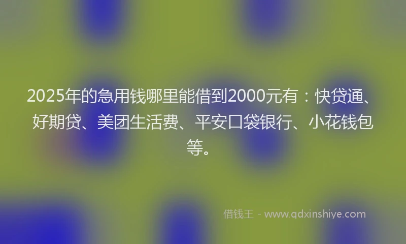2025年的急用钱哪里能借到2000元有：快贷通、好期贷、美团生活费、平安口袋银行、小花钱包等。