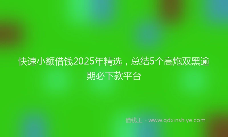 快速小额借钱2025年精选，总结5个高炮双黑逾期必下款平台