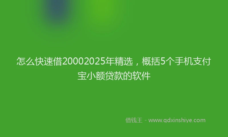 怎么快速借20002025年精选，概括5个手机支付宝小额贷款的软件