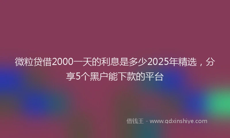微粒贷借2000一天的利息是多少2025年精选，分享5个黑户能下款的平台