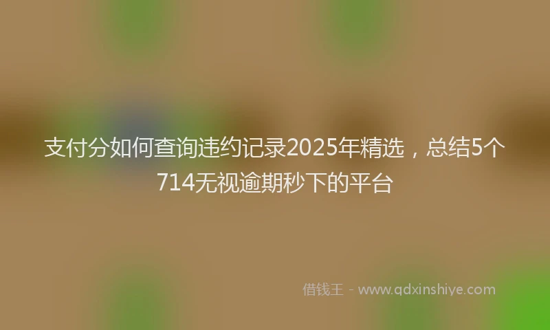 支付分如何查询违约记录2025年精选，总结5个714无视逾期秒下的平台