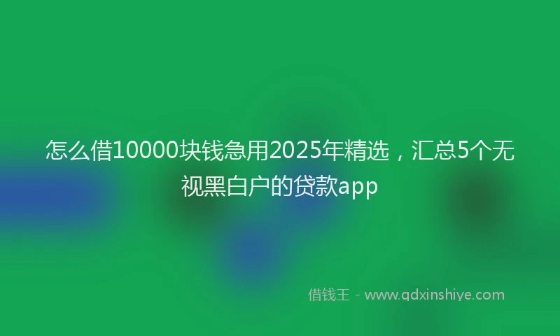 怎么借10000块钱急用2025年精选，汇总5个无视黑白户的贷款app