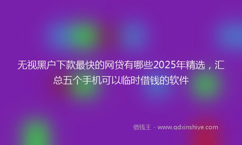 无视黑户下款最快的网贷有哪些2025年精选，汇总五个手机可以临时借钱的软件
