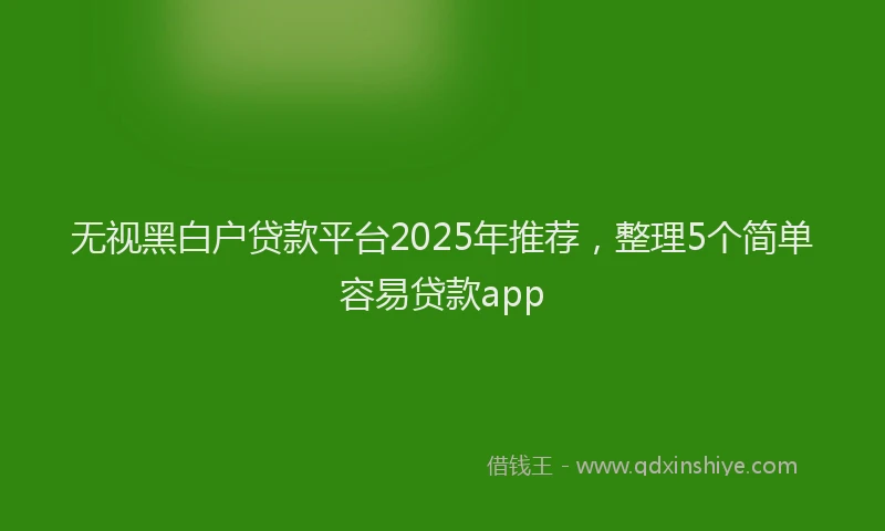 无视黑白户贷款平台2025年推荐，整理5个简单容易贷款app