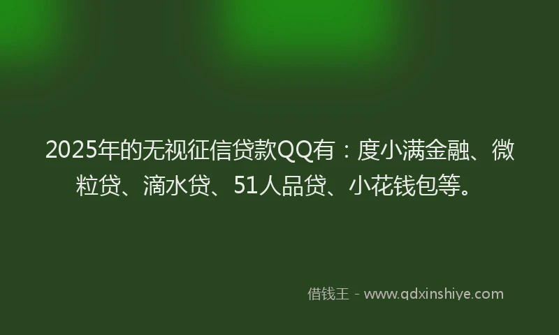 2025年的无视征信贷款QQ有：度小满金融、微粒贷、滴水贷、51人品贷、小花钱包等。