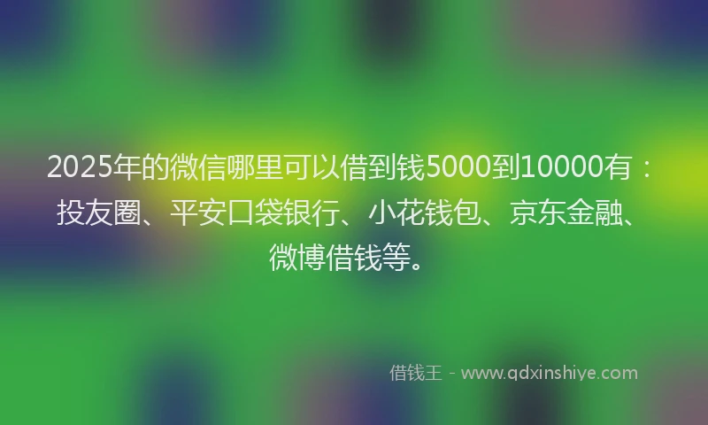 2025年的微信哪里可以借到钱5000到10000有：投友圈、平安口袋银行、小花钱包、京东金融、微博借钱等。