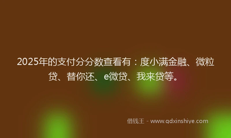 2025年的支付分分数查看有：度小满金融、微粒贷、替你还、e微贷、我来贷等。