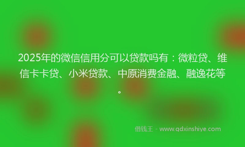 2025年的微信信用分可以贷款吗有：微粒贷、维信卡卡贷、小米贷款、中原消费金融、融逸花等。