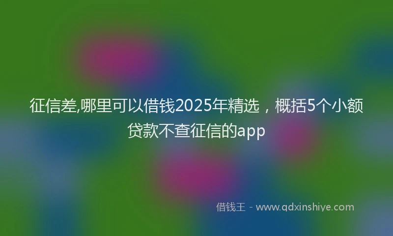 征信差,哪里可以借钱2025年精选，概括5个小额贷款不查征信的app
