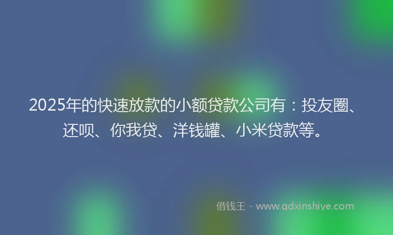 2025年的快速放款的小额贷款公司有：投友圈、还呗、你我贷、洋钱罐、小米贷款等。
