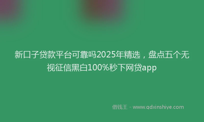 新口子贷款平台可靠吗2025年精选，盘点五个无视征信黑白100%秒下网贷app