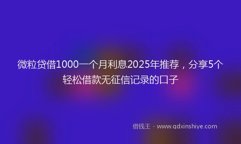 微粒贷借1000一个月利息2025年推荐，分享5个轻松借款无征信记录的口子