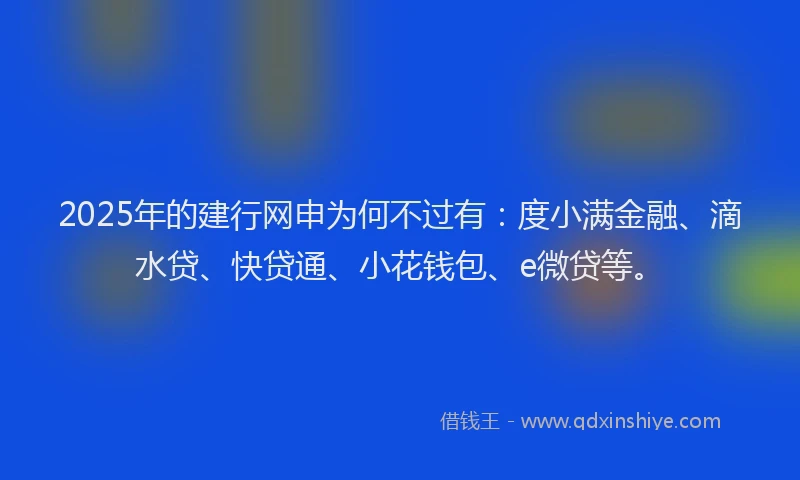 2025年的建行网申为何不过有：度小满金融、滴水贷、快贷通、小花钱包、e微贷等。
