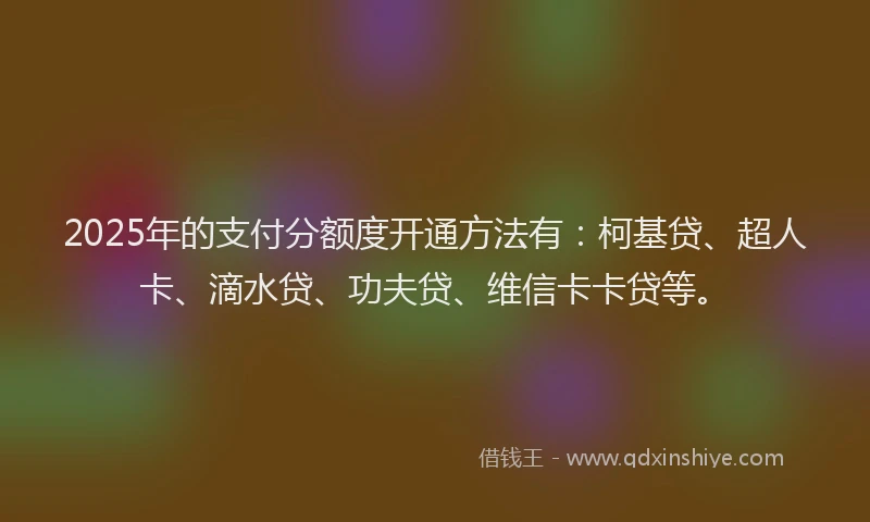 2025年的支付分额度开通方法有：柯基贷、超人卡、滴水贷、功夫贷、维信卡卡贷等。