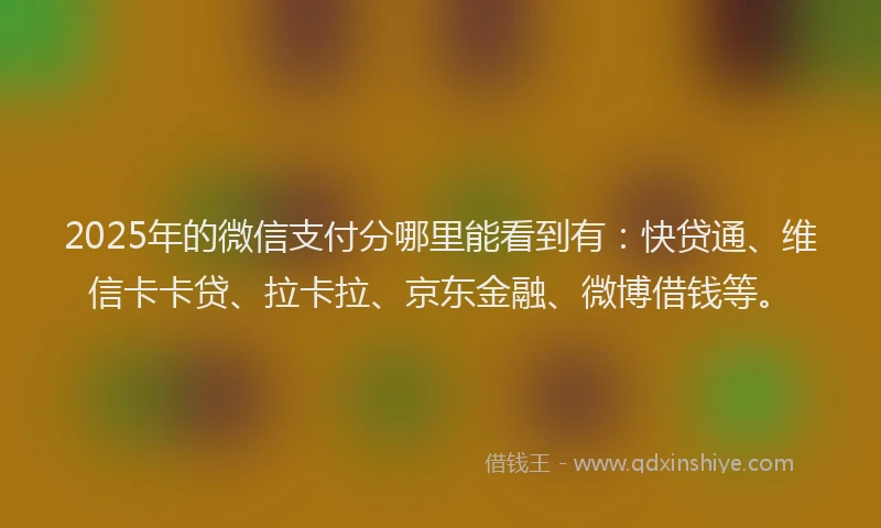 2025年的微信支付分哪里能看到有：快贷通、维信卡卡贷、拉卡拉、京东金融、微博借钱等。